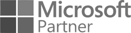 Microsoft patners